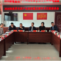2025年张家界市茶产业高质量发展学术交流座谈会召开