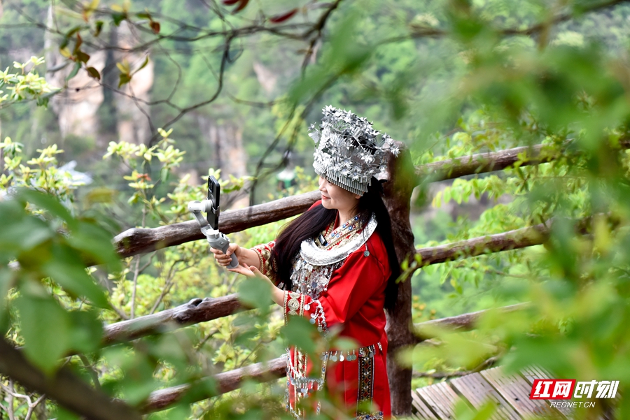 _DSC88641_副本.jpg