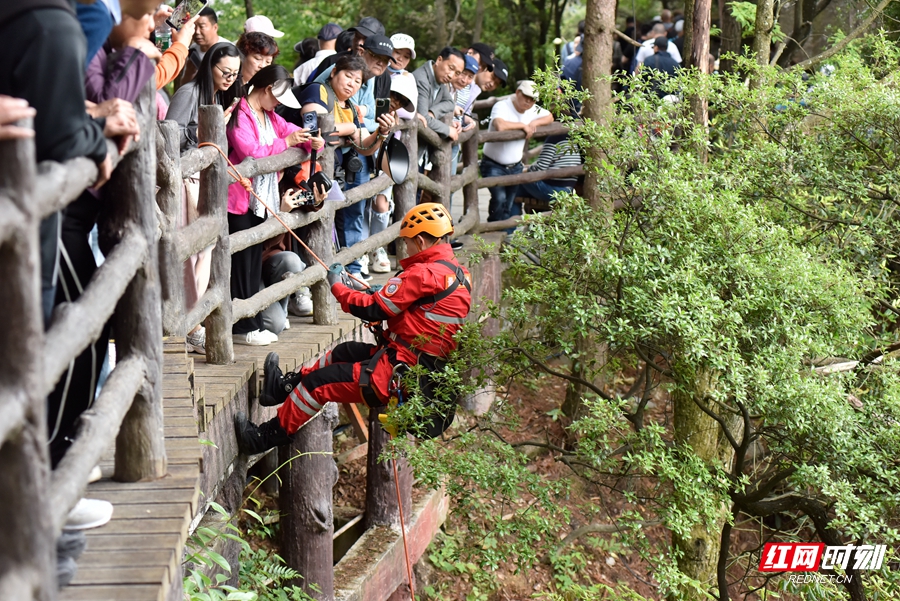 _DSC9242111_副本.jpg