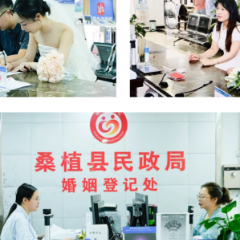 桑植政务服务中心为爱助力