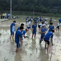 体验农耕乐趣，探索绿色生态之美——永定区新桥镇贵峪村开展农耕文化研学实践活动