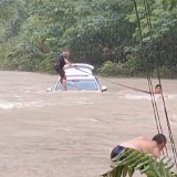 点赞！桑植县凉水口镇干部不惧河深流急，勇救落水人车