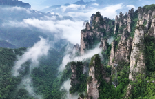 组图丨张家界国家森林公园“立夏”迎来云海仙景