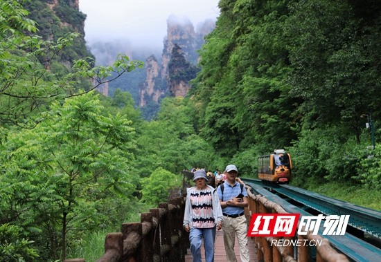 十里画廊绿意盎然 游人乐享生态之旅