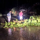 慈利县零溪镇200余名镇村干部迎“汛”出击