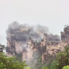 雨后张家界国家森林公园：泼墨山水入画来