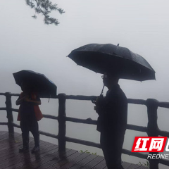 筑牢“汛”防线｜张家界国家森林公园黄石寨景区管委会应对强降雨，筑牢防汛安全防线