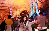 渝厦高铁引客来，四川百强门店旅行商组团考察张家界