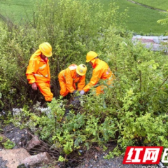 筑牢“汛”防线｜湖南高速集团张家界分公司桑植管理所多维联动织密防汛网，以“预警叫应”守护高速安澜