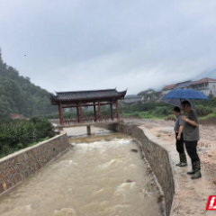 筑牢“汛”防线｜以工代赈项目筑起安全网 慈利县苗市镇东岳村成功抵御暴雨突袭