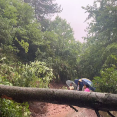 筑牢“汛”防线｜永定区王家坪镇石堰坪村干群合力保路通