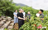 刘革安赴桑植县调研巩固拓展脱贫攻坚成果同乡村振兴有效衔接工作
