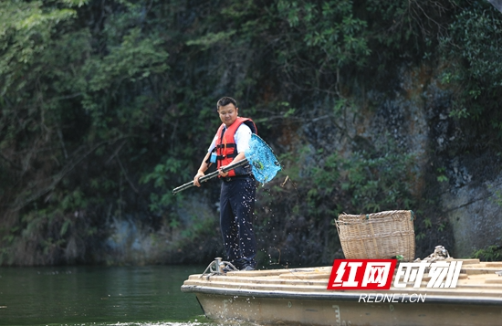 张家界市武陵源区：宝峰湖清漂呵护水环境（组图）