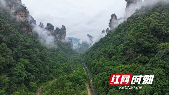 张家界国家森林公园十里画廊云雾绕仙峰 如水墨丹青画