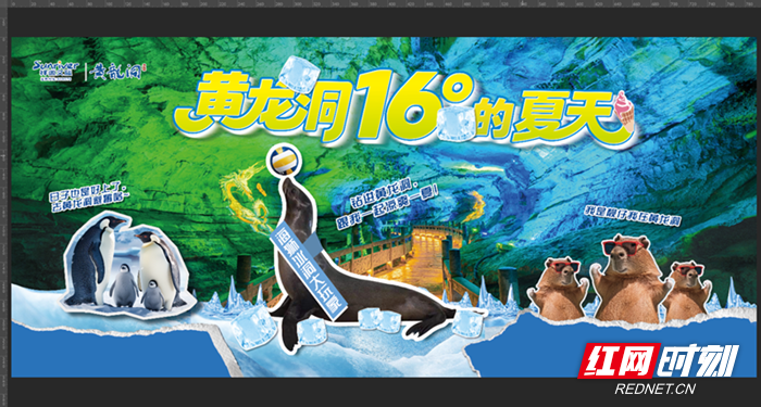 企鹅、海狮、水豚“冻”感亮相！黄龙洞景区“萌宠避暑季”将于7月18日正式开启