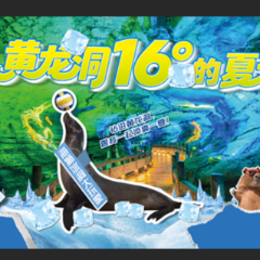 企鹅、海狮、水豚“冻”感亮相！黄龙洞景区“萌宠避暑季”将于7月18日正式开启