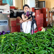 慈利:助农主播“云端”卖菜忙