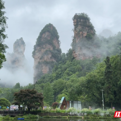 大暑节气烟雨绕，张家界国家森林公园成避暑仙境