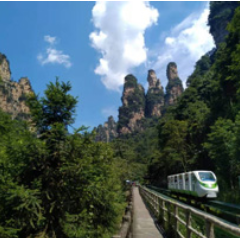 重磅！2025年张家界旅游发展奖励政策来了，这些奖励等你拿！