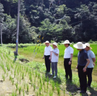 刘革安到永定区调研