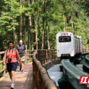 张家界国家森林公园：十里画廊观光电车百万礼品请您寻宝