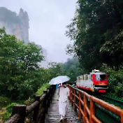 张家界国家森林公园雨后奇景：水墨丹青画中游