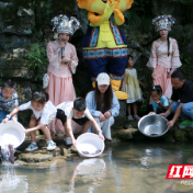 人工增殖放流百余尾幼苗，张家界黄龙洞“大鲵家园”再添新丁