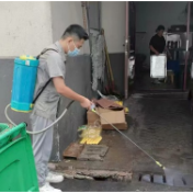 张家界机场开展全面灭蚊行动 筑牢卫生安全防线