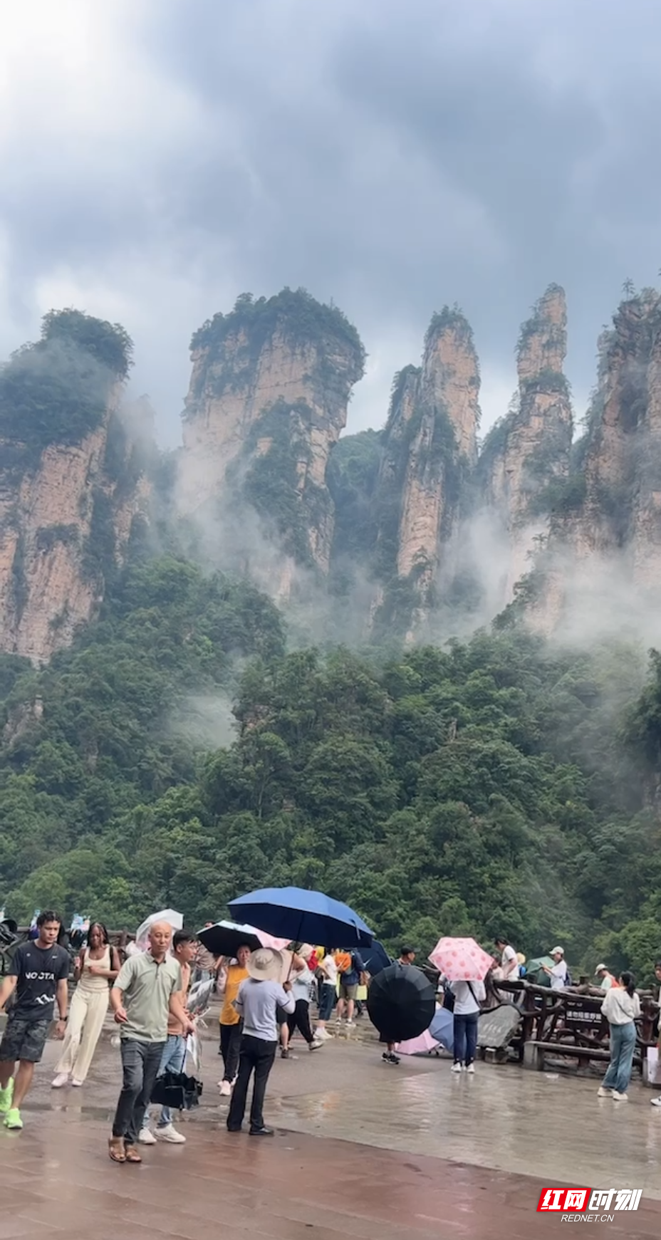 张家界：阵雨洗尘 四十八将军岩云雾缭绕如仙境