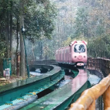 张家界十里画廊：水墨仙境中，12生肖观光电车开启童话之旅