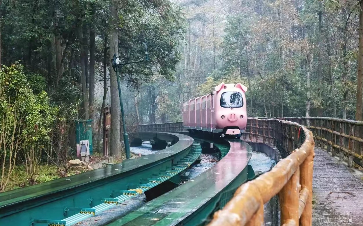 张家界十里画廊：水墨仙境中，12生肖观光电车开启童话之旅