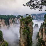 又一国际“种草”！土耳其外交官热情推荐张家界国家森林公园