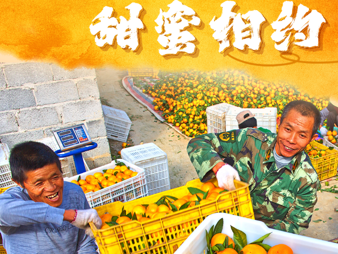 海报 | 慈利有礼 · 蜜橘篇