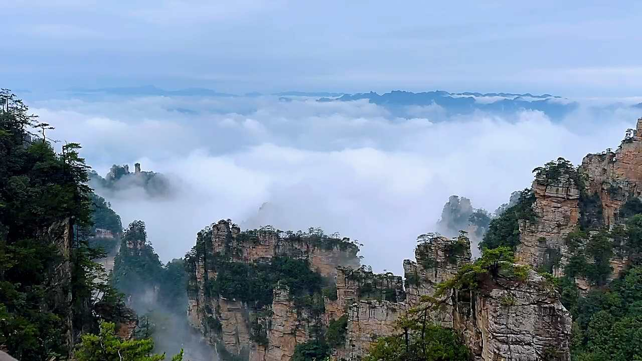 雨后杨家界云海翻涌 峰墙奇景引客来
