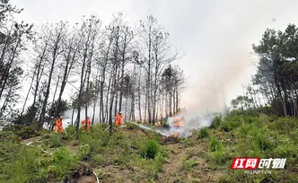 这场森林防灭火现场会，藏着张家界守护绿水青山的硬核密码
