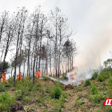 这场森林防灭火现场会,藏着张家界守护绿水青山的硬核密码