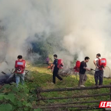 永定区罗水乡:实战练兵提技能 森林防火筑根基