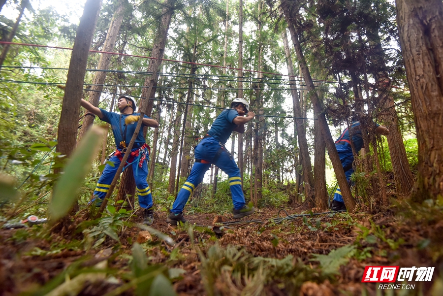 _DSC63271_副本.jpg _DSC63271_副本.jpg