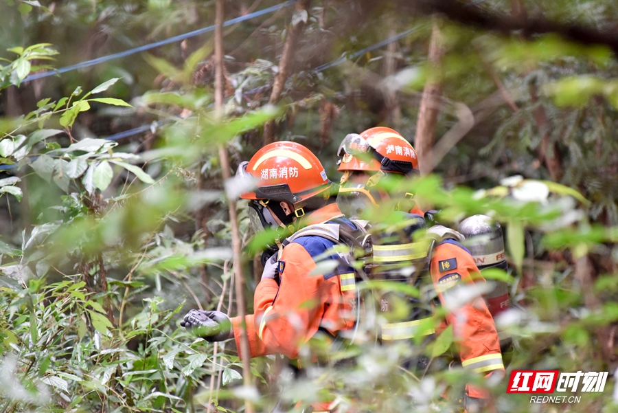 _DSC6284_副本.jpg _DSC6284_副本.jpg