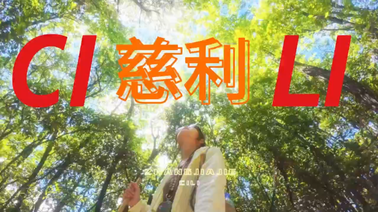 大学生眼中的慈利VLOG｜湖南工业大学彭媛：走进奇妙的绿色森林