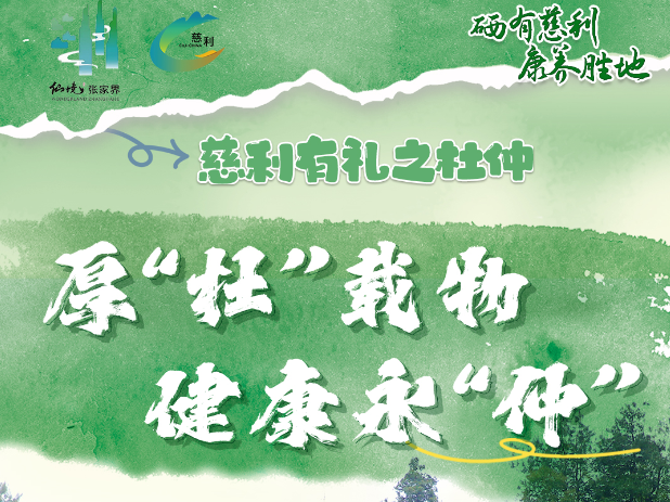 海报 | 慈利有礼 · 杜仲篇