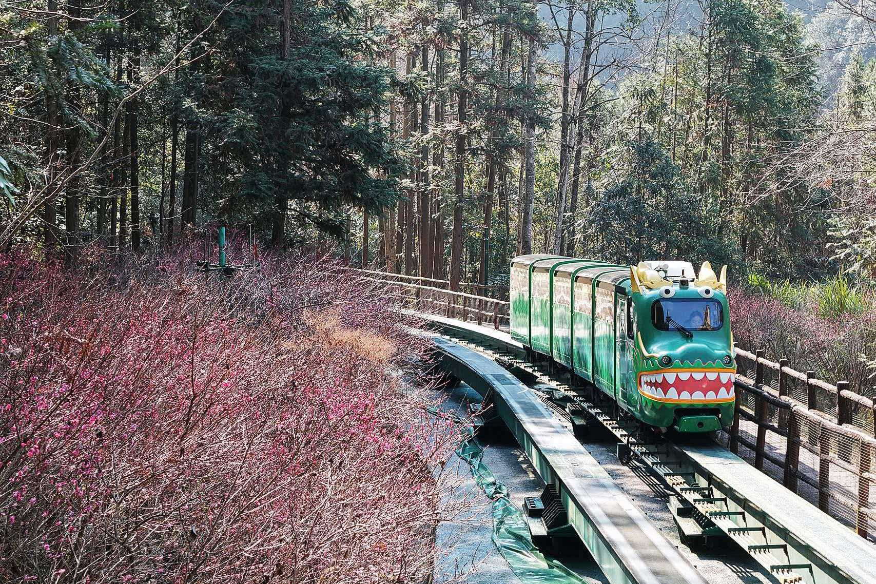 张家界十里画廊：梅香漫溪谷，萌车穿花过