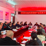 桑植县空壳树乡：特色产业谋新篇 乡村振兴启新程