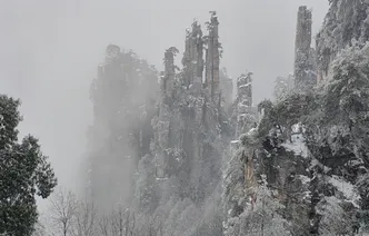 组图 | 张家界国家森林公园迎来降雪天气