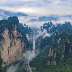 张家界：系统推进交旅融合  服务乡村振兴战略