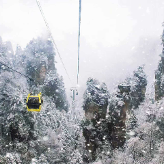 杨家界迎新年初雪:峰林裹银装 缆车穿雾凇