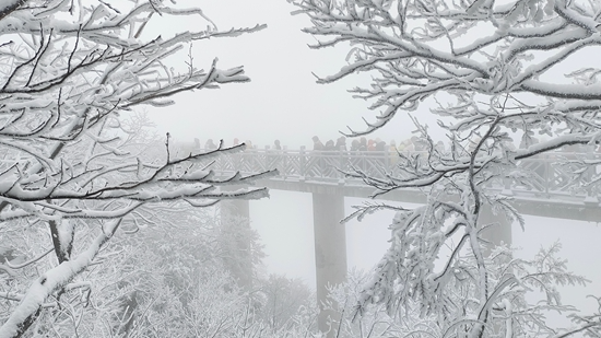 张家界天门山：元旦假期三万余名游客共赏冰雪盛景