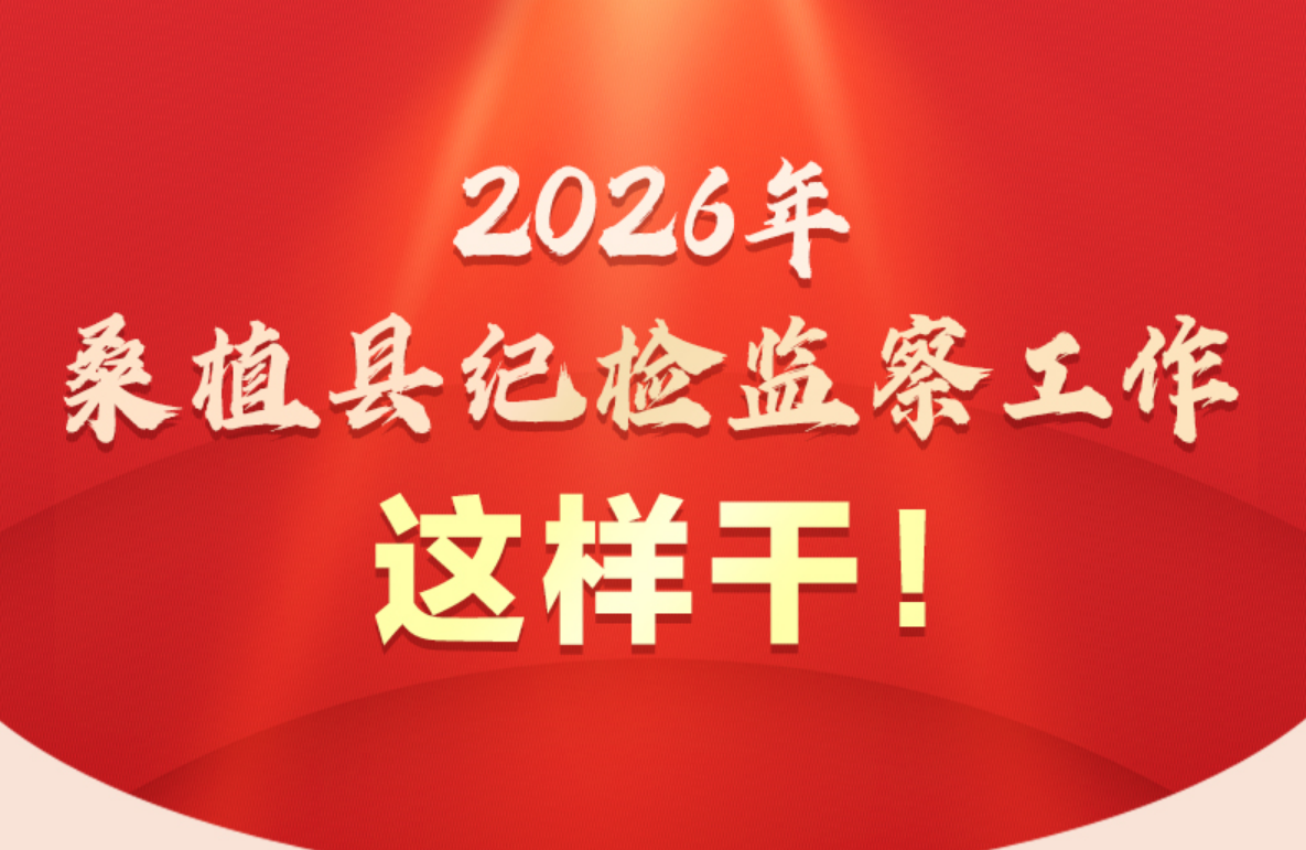 2026年桑植县纪检监察工作这样干！