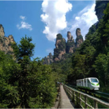 清风头条 |  清风拂峰林 实干谱新篇