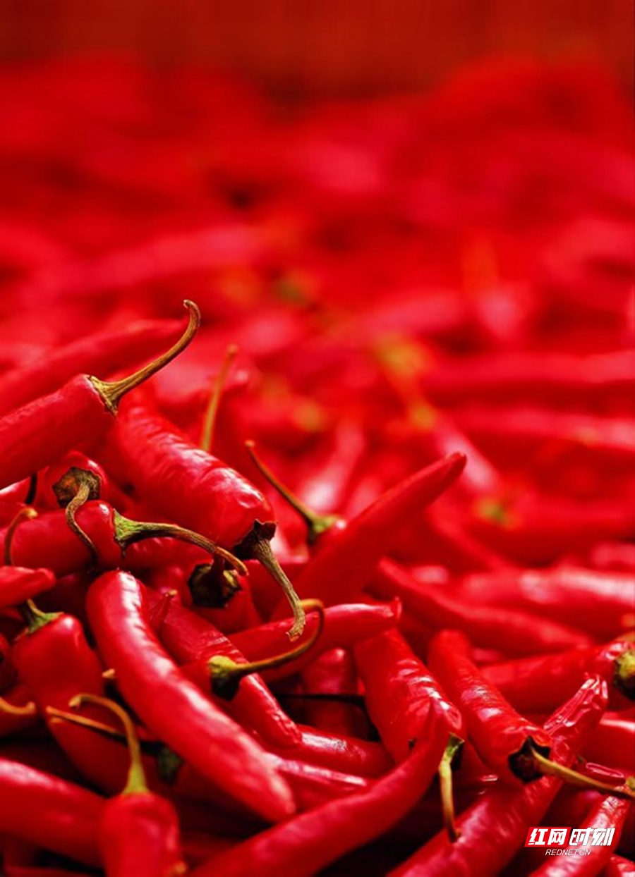 图片4.jpg 图片4.jpg